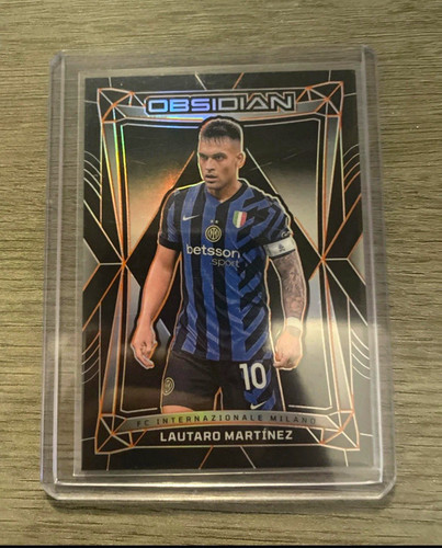 Panini obsidian 2024 - panini,